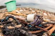 海洋垃圾中的寄居蟹：瓶盖成为它们的新家，令人心痛