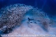 Monster Lee的500PX摄影作品：大海、珊瑚与人鱼